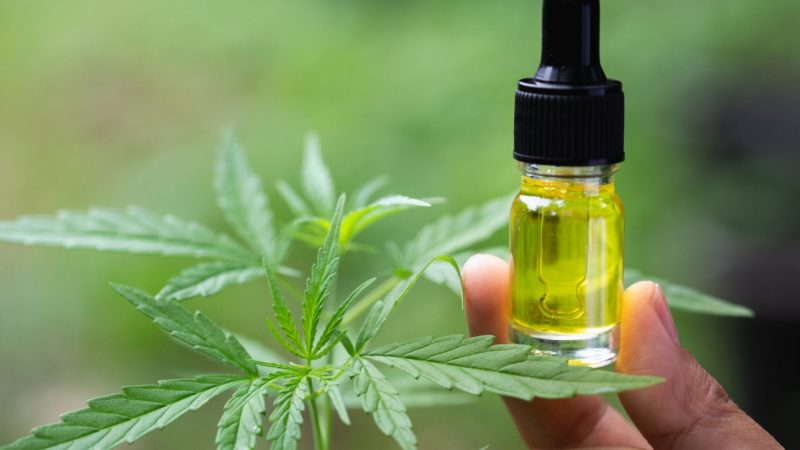 INFORMATION ABOUT CBD OIL HOW ITS WORK