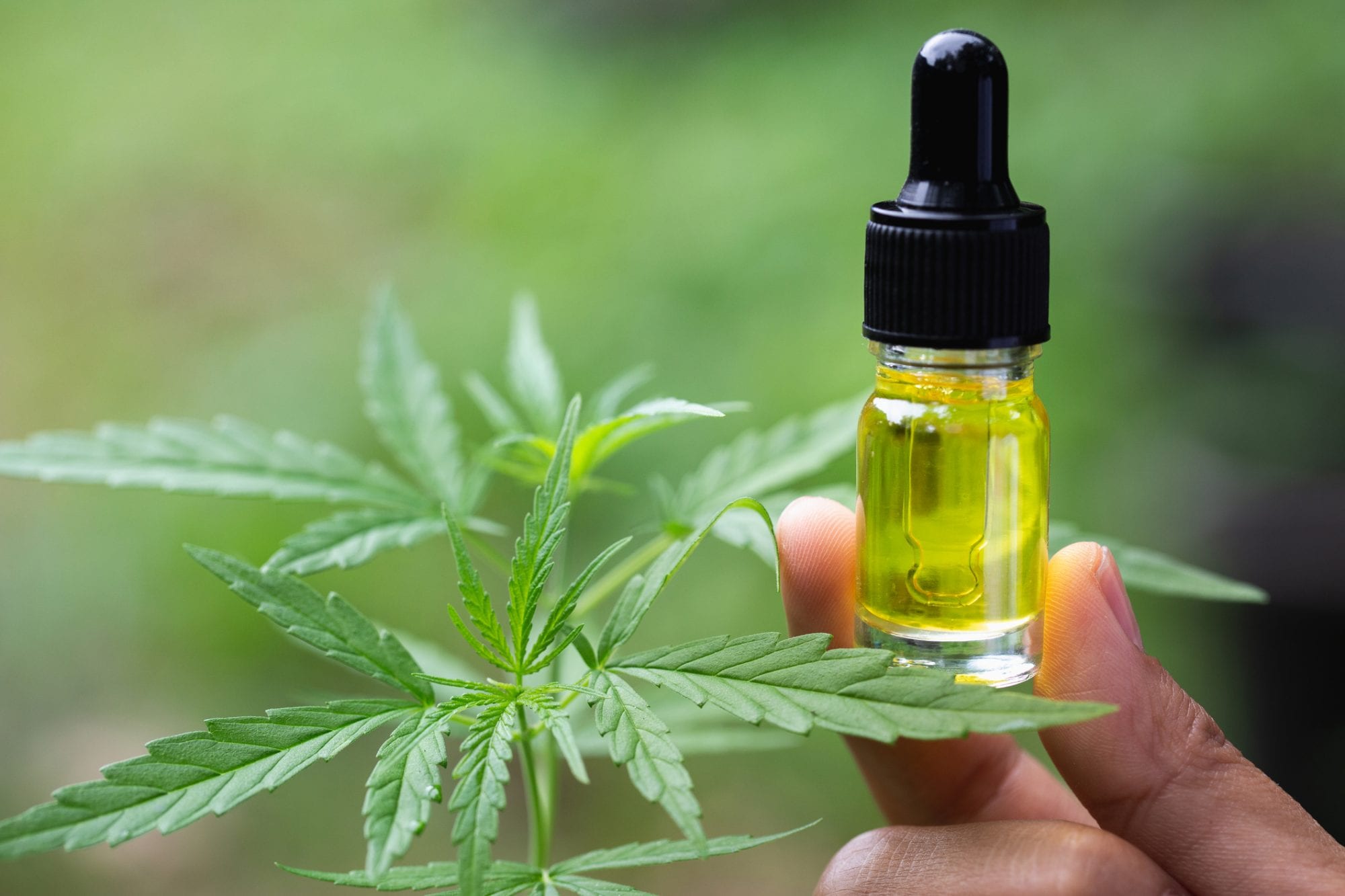 INFORMATION ABOUT CBD OIL HOW ITS WORK