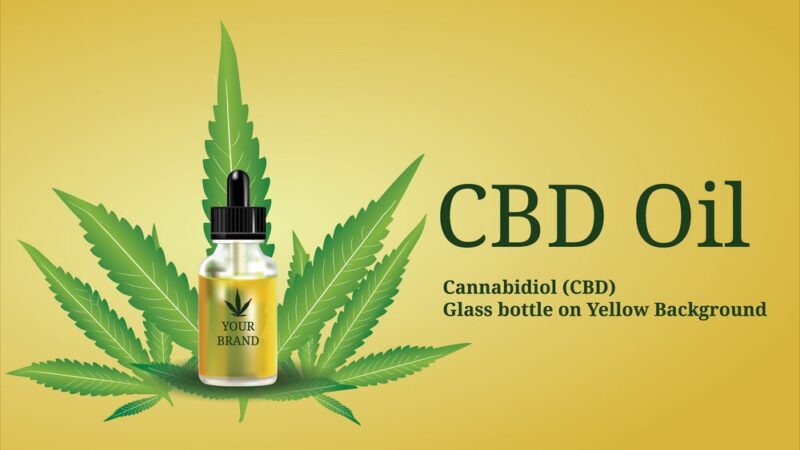 6 Unique CBD Facts You Probably Didn’t Know