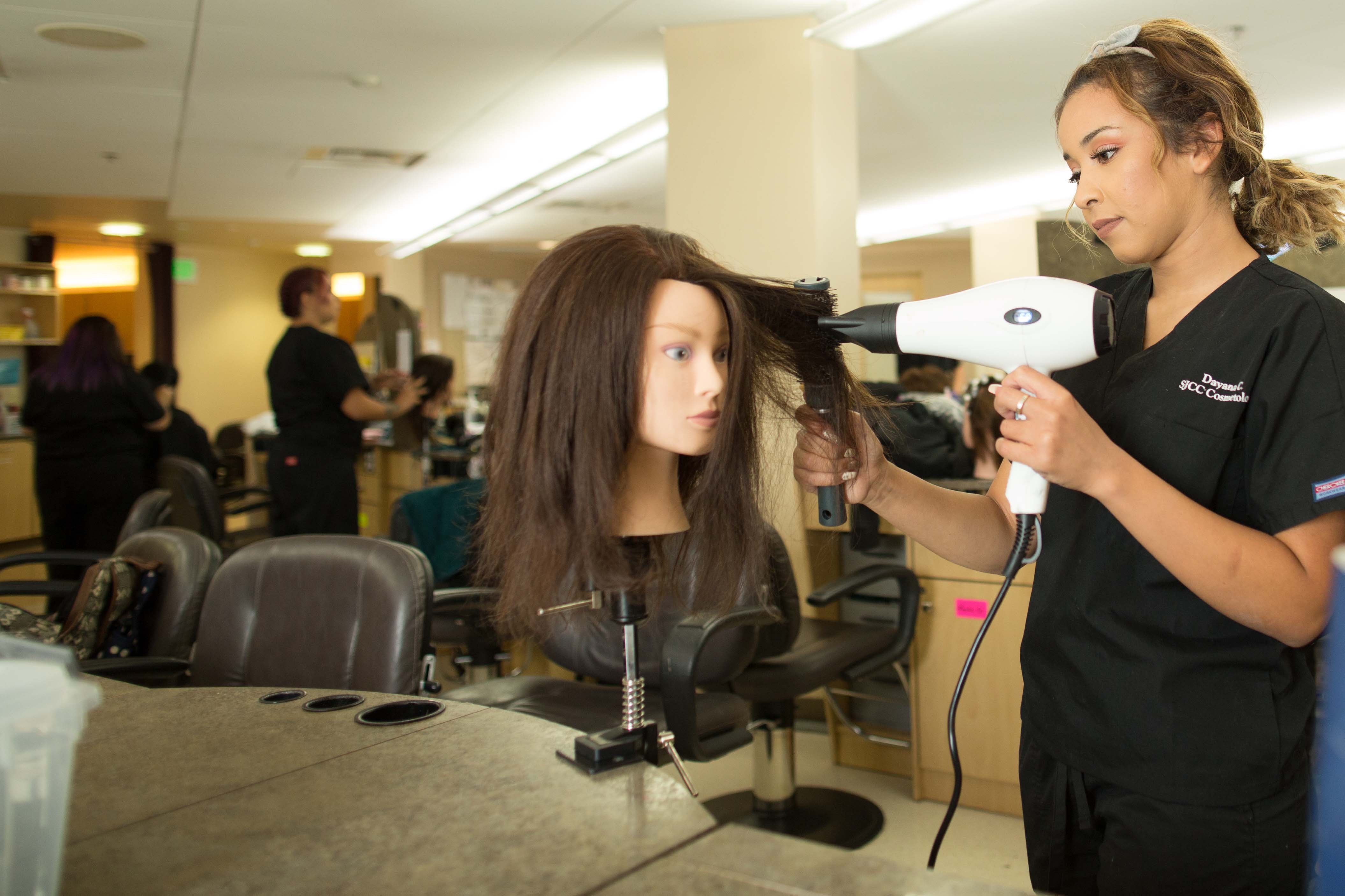 Cosmetology Webpage Image 