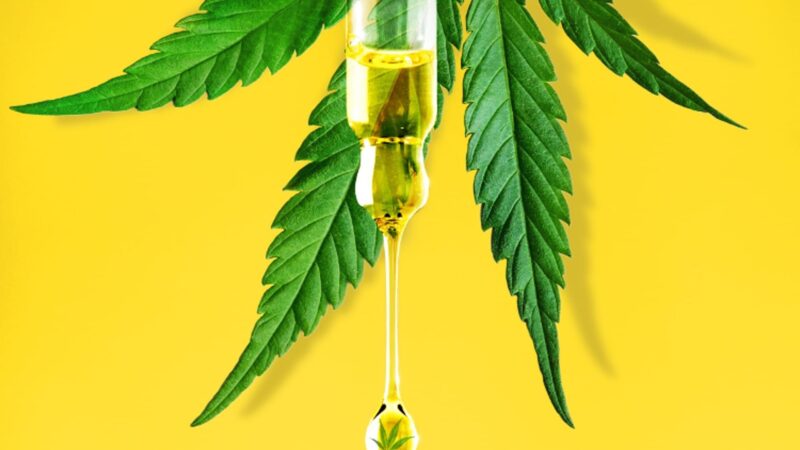 Can CBD Get You High? The Basics Explained