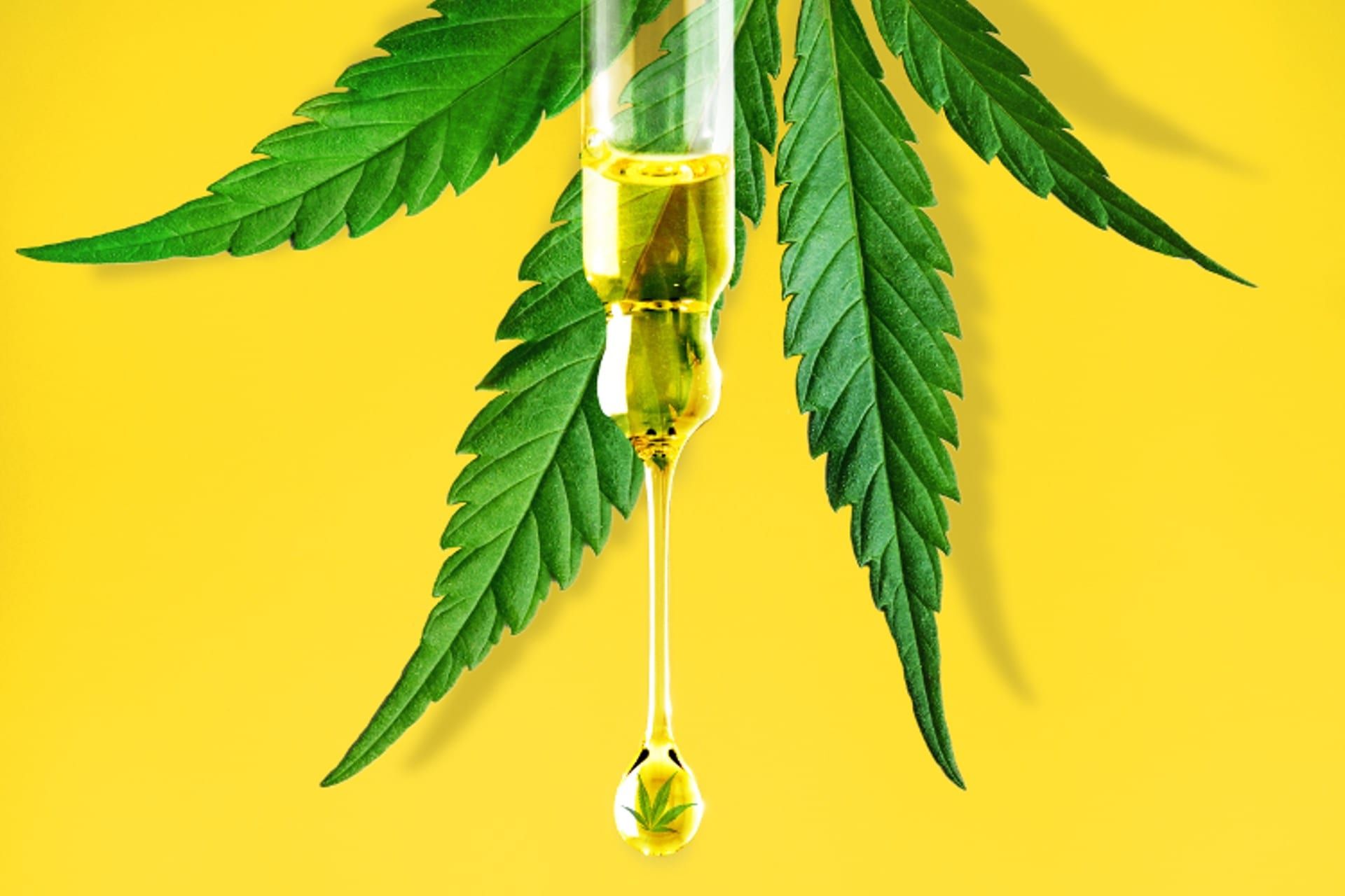Can CBD Get You High? The Basics Explained