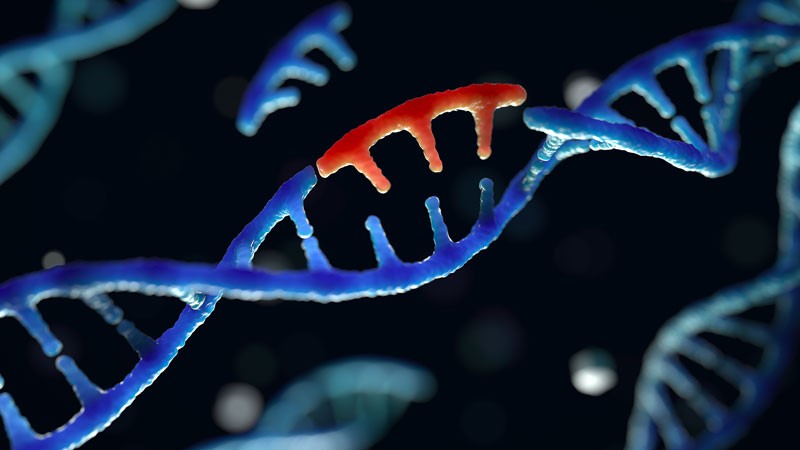 An overview on Genetic mutation